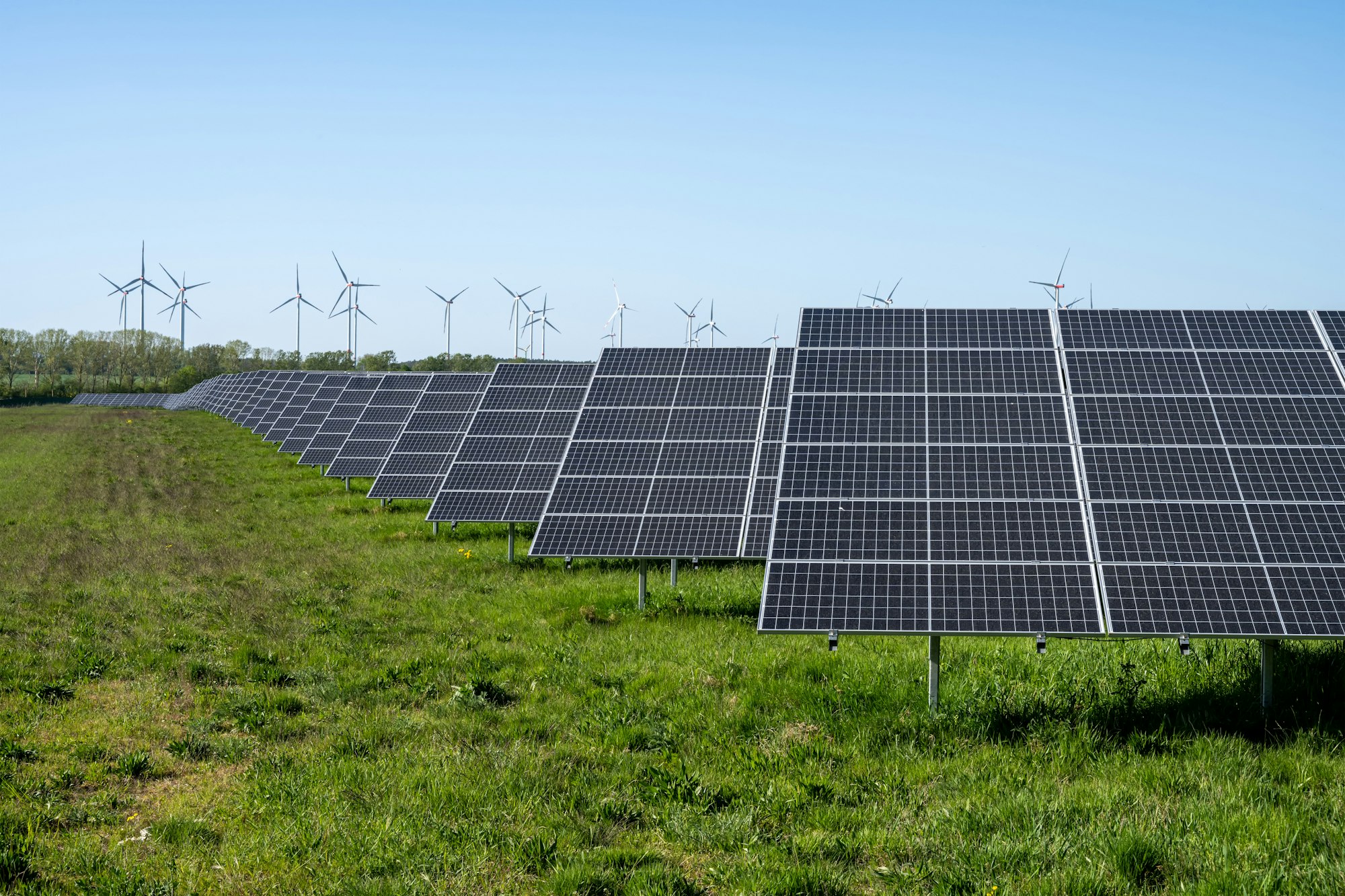 Solar panels with wind turbines in the back